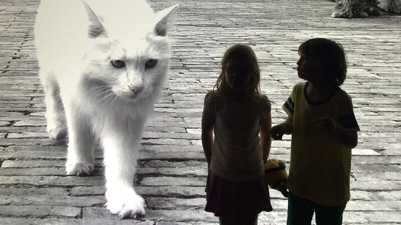 Dash and his cousin Sylvie at the Andy Warhol/Ai WeiWei exhibition in the National Gallery of Victoria, Melbourne