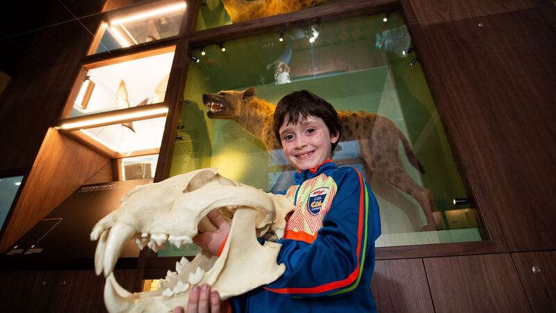 Aedan Wren (8) from from Crumlin holds an exhibit at the Wonder Cabinet. Photograph: Tom Honan/The Irish Times.