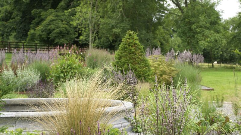 The gravel oardens of Lavistown House in Co Kilkenny. Photograph:  Richard Johnston