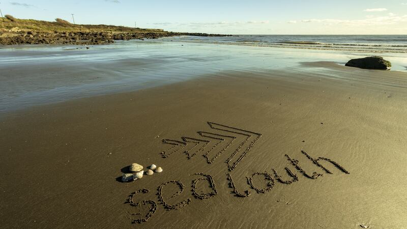 The Sea Louth scenic seafood trail gives you a guide to viewpoints, restaurants, producers and a walking map