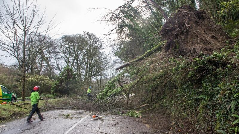 Workers clearing a main road after it was blocked by fallen trees during Storm Eunice outside Crosshaven, Co. Cork. Photograph: David Creedon