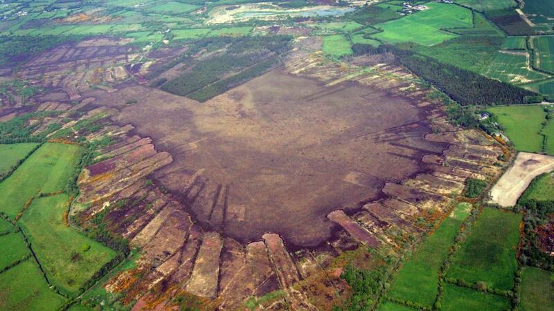 Cut to shreds: Ballynafagh bog, in Co Kildare, most of which has been stripped and which is in danger of disappearing. Photograph: Brenda Fitzsimons