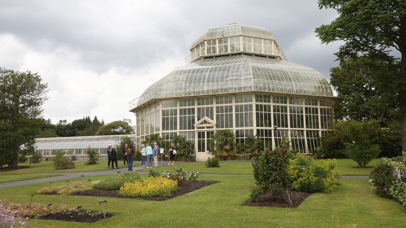 Significant collections of Irish heritage plants can  be found  in the National Botanic Gardens in Glasnevin. Photograph: Bryan O’Brien