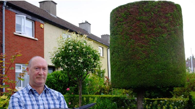Nicholas Horan with his lollipop topiary in Milltown. Photograph: Bryan O’Brien