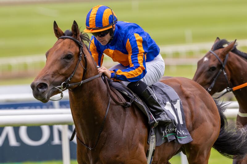 Wayne Lordan rides The Lion in Winter at the Curragh last July. Photograph: Morgan Treacy/INPHO