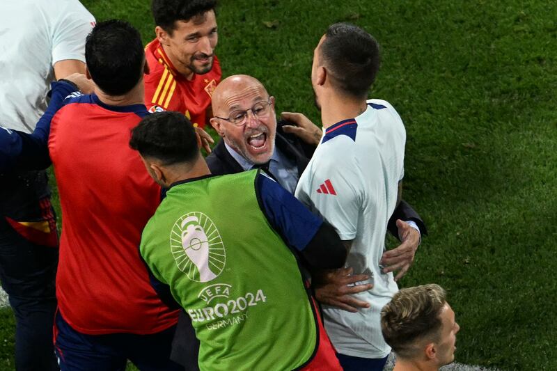 Luis de la Fuente was seen both as a safe pair of hands and a gamble when he was appointed by Spain. Photograph: Thomas Kienzle/AFP via Getty Images
