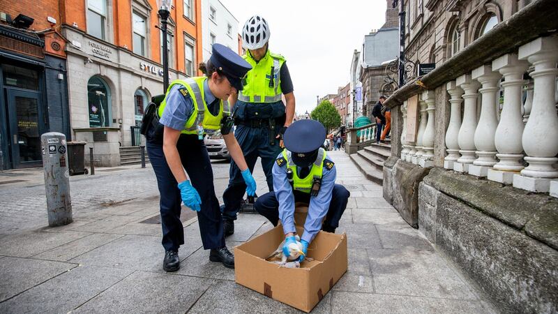 Gardaí from Pearse St Garda Station with rescued seagull.(L to R) Garda Tara Brennan , Garda Neil Carberry and Garda Robert Kennedy. Photograph: Tom Honan/ The Irish Times.