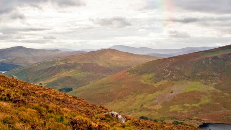 Photograph: Getty Images