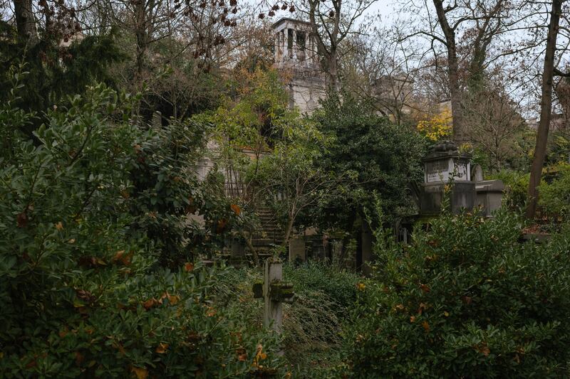 One of the most wild areas in the cemetery, near the mausoleum of Elizaveta Demidova, a 19th-century Russian aristocrat. Photograph: Dmitry Kostyukov/The New York Times