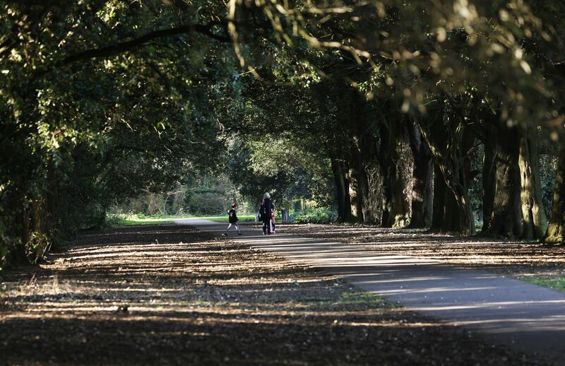 St Anne's Park:  lovely place to go for a leisurely walk. Photograph: Alan Betson 

