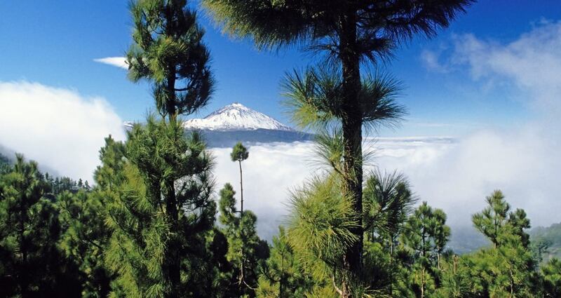 The Teide Peak, Tenerife, Canary Islands. Photograph: Getty