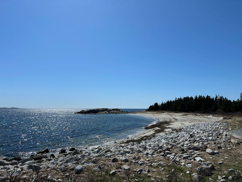 Hike at Pennant Point, Nova Scotia. Photograph: Gemma Tipton