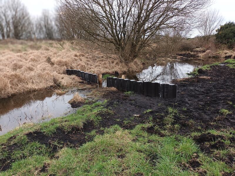 A drain and dam that allows water levels to be controlled by farmers. Photograph: FarmPEAT EIP
