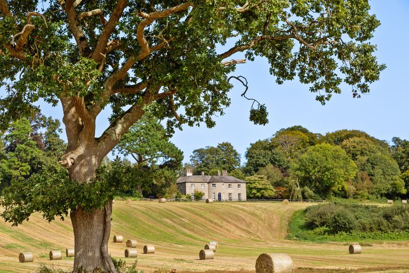 Barley is currently the crop of choice on the lands