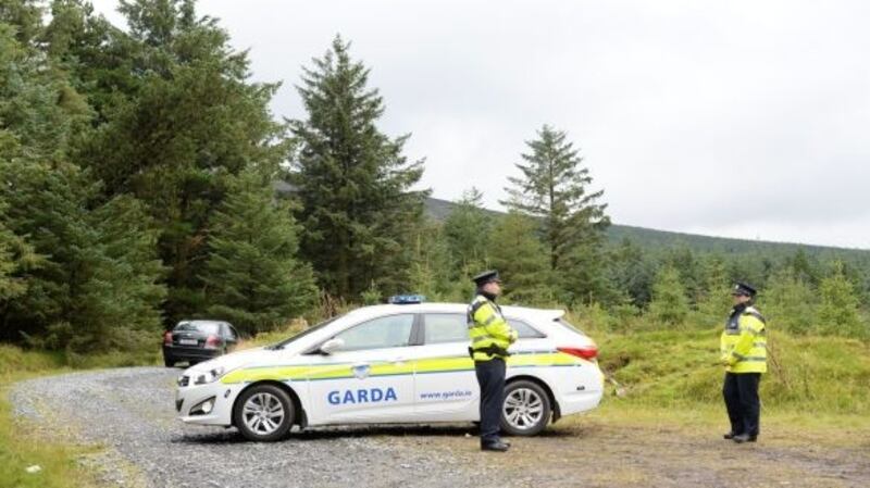 Gardaí at the scene in the Dublin mountains where the remains of Michael McCoy were found. Photograph: Cyril Byrne