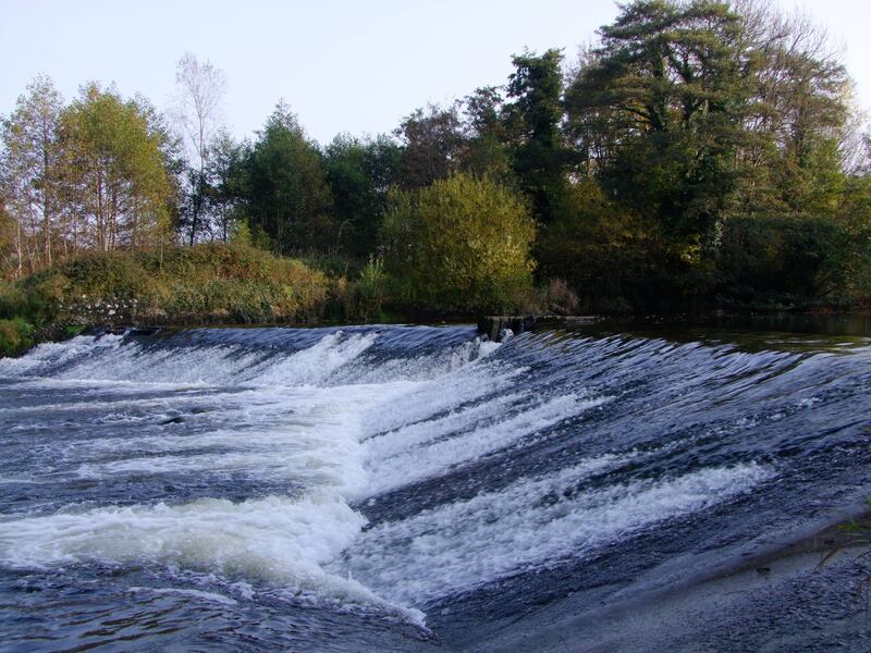 Annacotty Weir, Co. Limerick received €99,481 for part funding of the planning phase to find solutions for fish migration on the River Mulkear