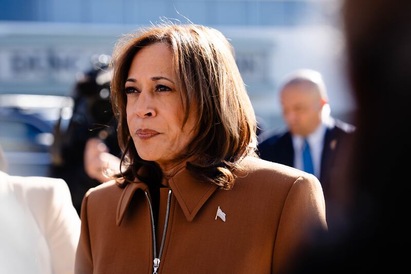 Kamala Harris: the final year of the Biden-Harris administration has been defined by a fog of confusion. Photograph: Erin Schaff/New York Times
                      