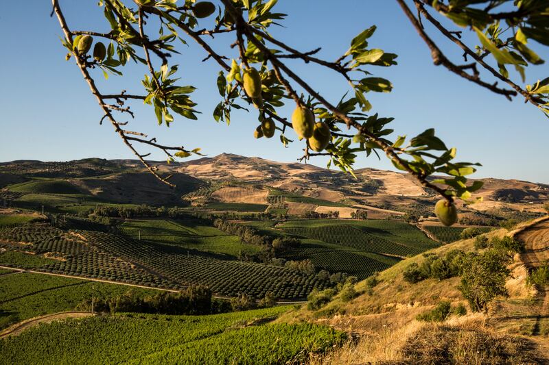 Sicily. Photograph: Getty Images