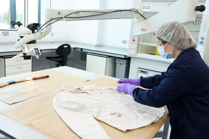 A scientist reviews blood stains. 