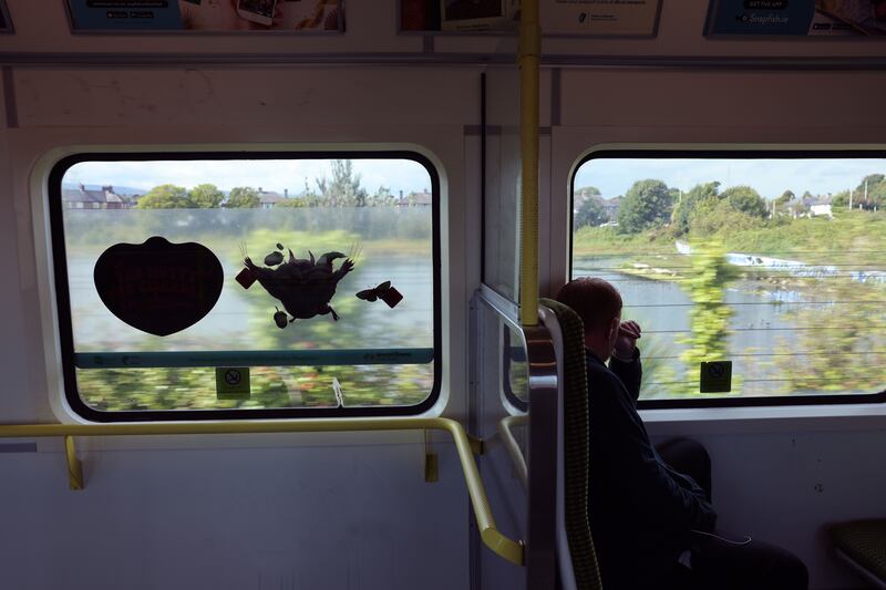 Signs in the windows on the Dart promoting biodiversity also obscure the view. Photograph: Dara Mac Dónaill