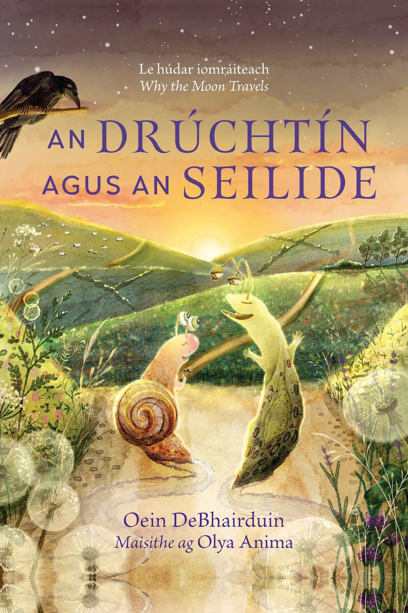 An Drúchtín agus an Seilide by Oein DeBhairduin, illustrated by Olya Anima