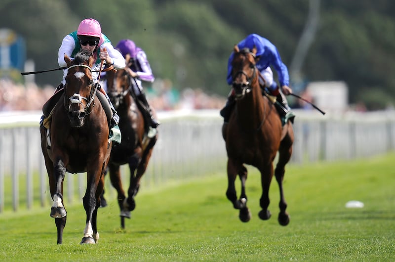 Tom Queally rides Frankel (left) at the Juddmonte International Stakes in York in 2012. Photograph: Alan Crowhurst/Getty Images