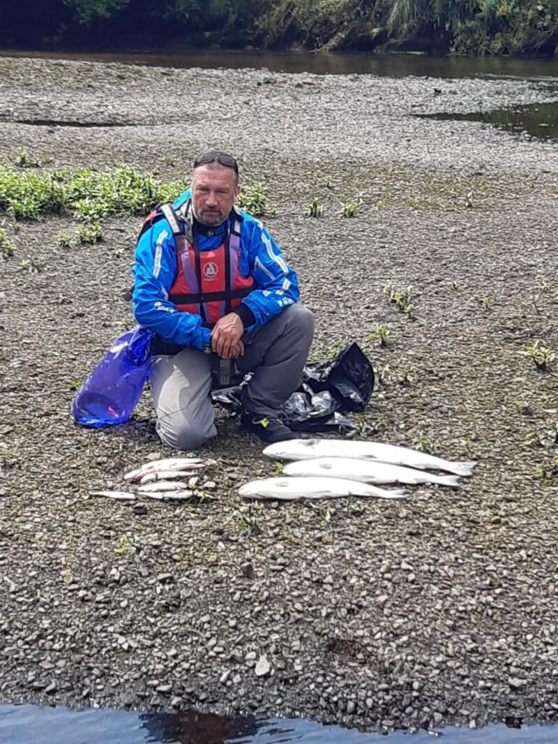 Assistant inspector John Twomey, pictured with samples of the recent fish kill along the River Ilen in Skibbereen, West Cork