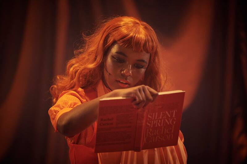 Hothouse, by Malaprop. Photograph: Ros Kavanagh