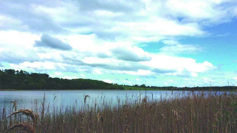 Lake in the grounds of Knockdrin Castle, Co Westmeath