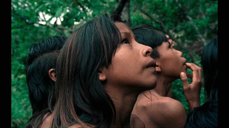 Still from The Buriti Flower