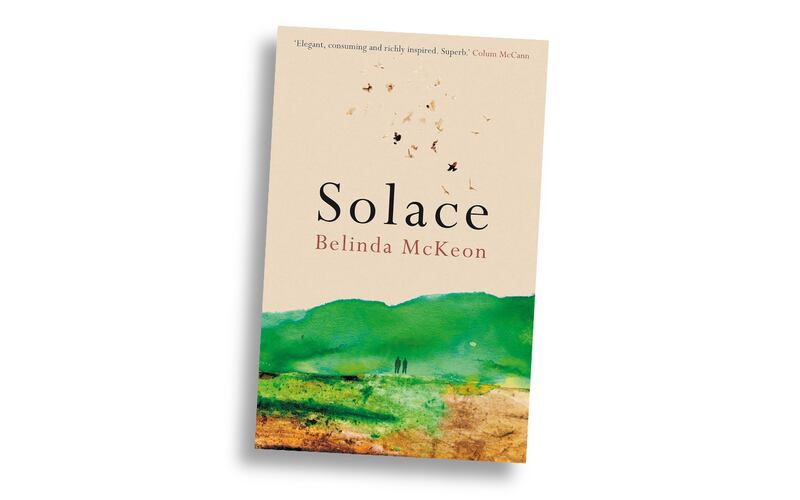 100 best Irish books of the 21st century - Solace by Belinda McKeon