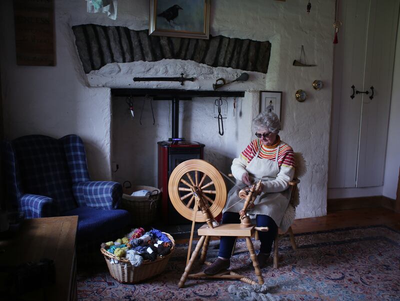Sandra King pictured at her home near Crusheen Co. Clare. Photo: Bryan O Brien 

