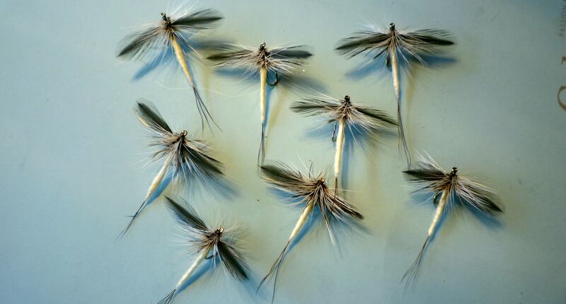 Mayfly ‘Spents’, tied by Jimmy Tyrrell