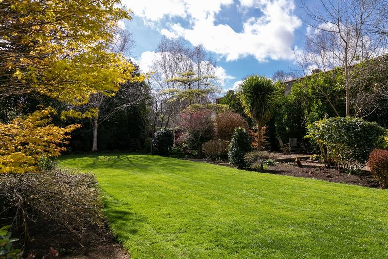 The south-facing rear garden