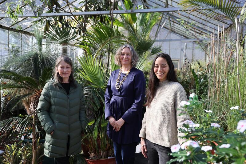 Dr Michelle Murray, Prof Jennifer McElwainand Midori Yajima in one of the garden’s greenhouses. Photograph: Nick Bradshaw/The Irish Times