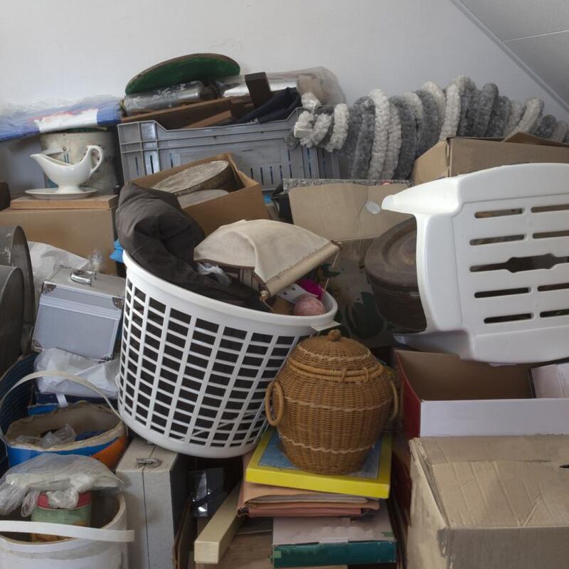 ‘It’s about addressing the elephant in the room; how all this stuff gets into the house in the first place.’ Photograph: iStock