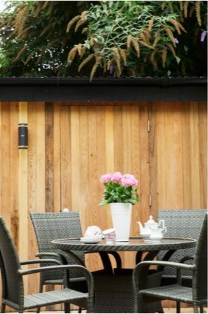 The garden is south facing. Photograph: Philip Lauterbach