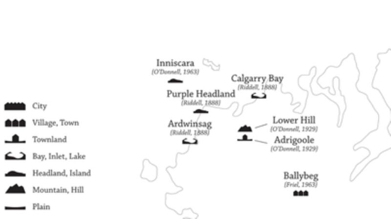 Detail from the 'Fictional Ulster' map