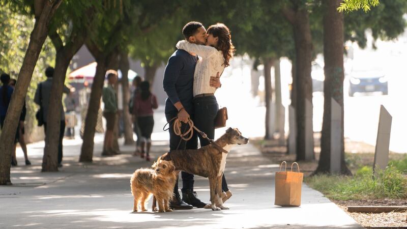 New this week: Tone Bell and Nina Dobrev in Dog Days
