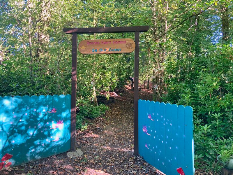 This enchanted Fairy Forest turns the woods into its own little magic kingdom. Photograph: Fáilte Ireland