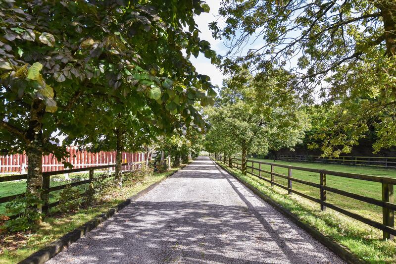 The house is totally private lying at the end of a long avenue