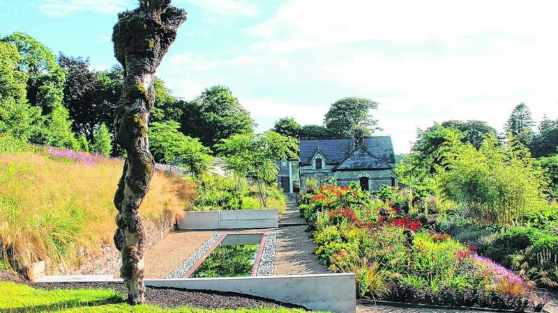 An Irish elm tree in the  garden that succumbed to Dutch elm disease has been planted upside down with its roots showing. Photograph: Paul Quinn