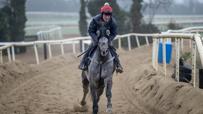 Conditions could suit Gordon Elliott's Riviere D’etel at Punchestown on Sunday. Photograph:  Morgan Treacy/Inpho
