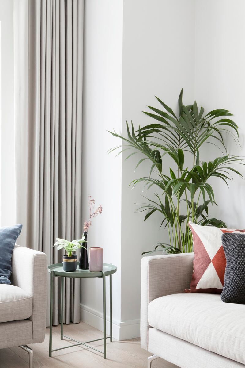 Houseplants add height, texture, and a sense of life to a space