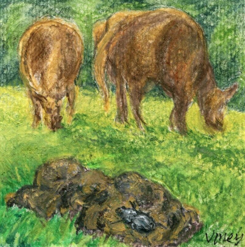 The dung beetle by Michael Viney.