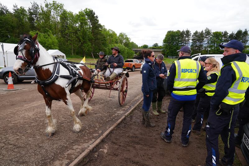 The RSPCA looks on as people go by in horse-drawn carriage during the Appleby Horse Fair. Photograph: Owen Humphreys