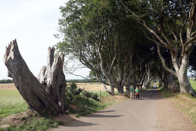 The hype around the Game of Thrones series may have subsided but hundreds still visit the Dark Hedges. Photograph: Stephen Davison