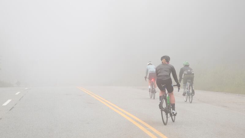 Cyclists begin the descent of Mount Seymour. Photographs: Alec Jacobson/New York Times