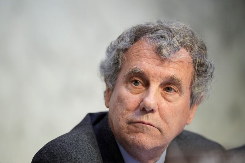 Ohio senator Sherrod Brown is a strong voice on labour rights and protections. Photograph: Drew Angerer/Getty Images
