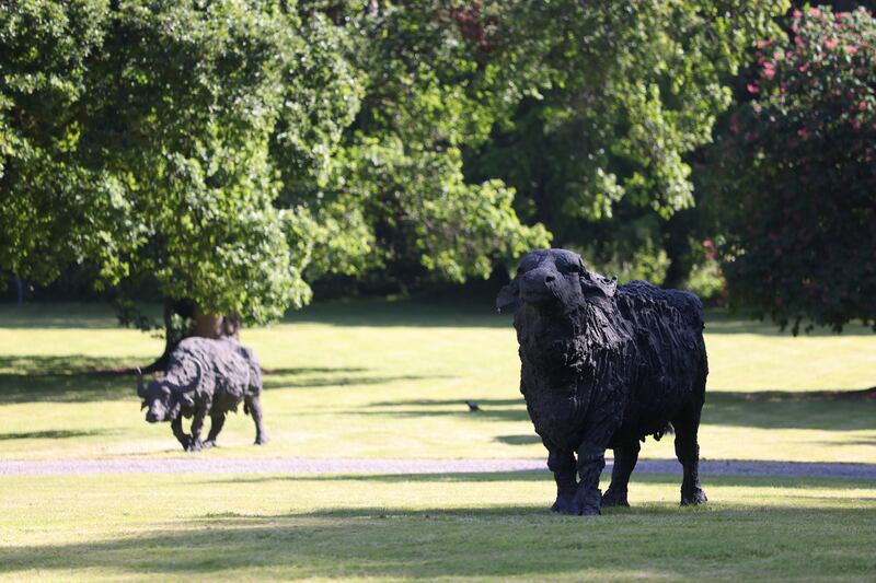 Grazing in Lucan is part of the embassy’s commitment, along with the Italian Cultural Institute of Dublin, to promote Italian art. Photograph: Bryan O'Brien